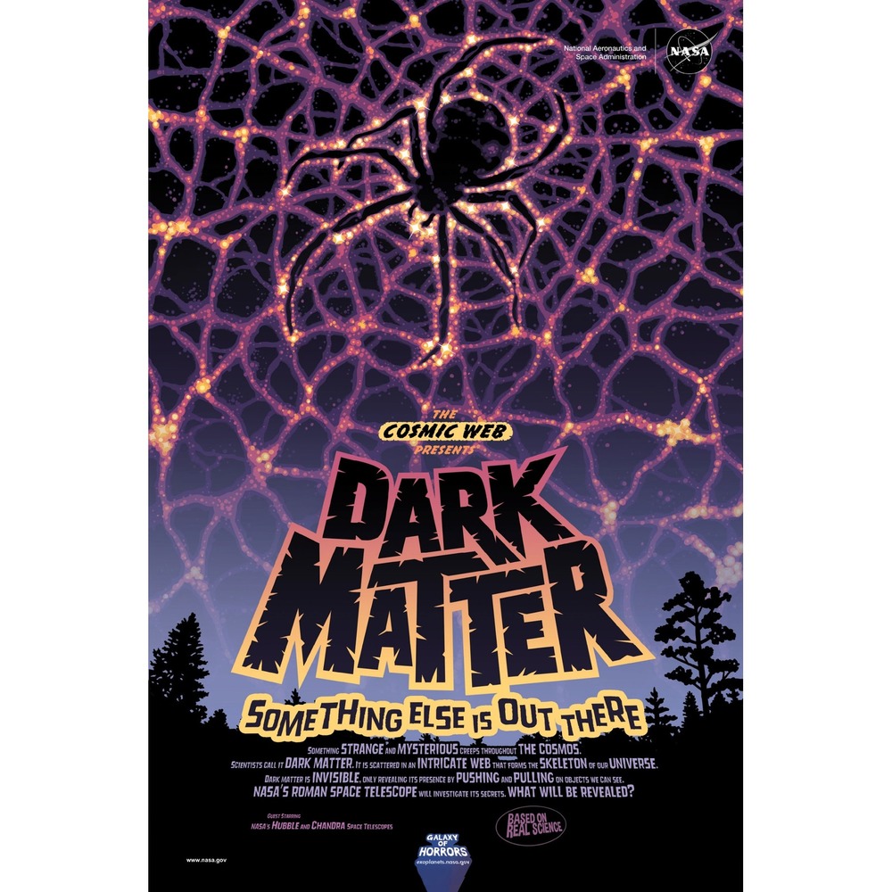 NASA Dark Matter Cosmic Web Poster Space Science Art Print 24x36